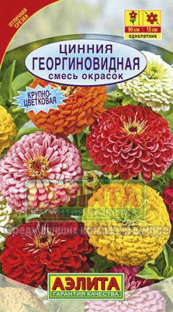 Цинния Георгиновидная смесь - Сезон у Дачи