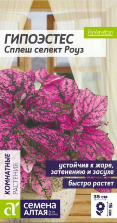 Гипоэстес Сплеш селект Роуз (Сем Алт) - Сезон у Дачи