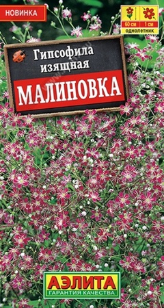 Гипсофила Малиновка (Аэлита) - Сезон у Дачи