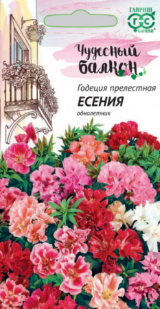 Годеция Есения /Чудесный балкон (Гавриш) - Сезон у Дачи