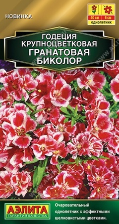 Годеция Гранатовая биколор (Аэлита) - Сезон у Дачи