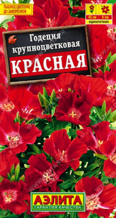 Годеция Красная (Аэлита) - Сезон у Дачи