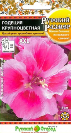 Годеция Русский размер крупноцветная (НК) - Сезон у Дачи