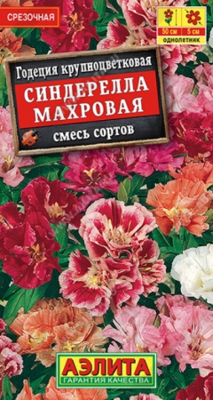 Годеция Синдерелла махровая смесь сортов (Аэлита) - Сезон у Дачи