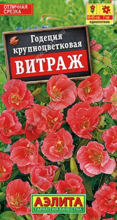 Годеция Витраж 0,05гр (Аэлита) - Сезон у Дачи