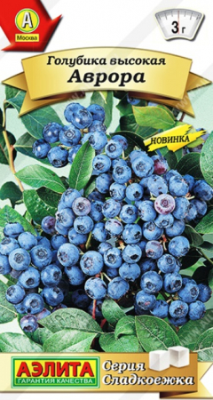 Голубика высокая Аврора /серия Сладкоежка 0,01гр (Аэлита) - Сезон у Дачи