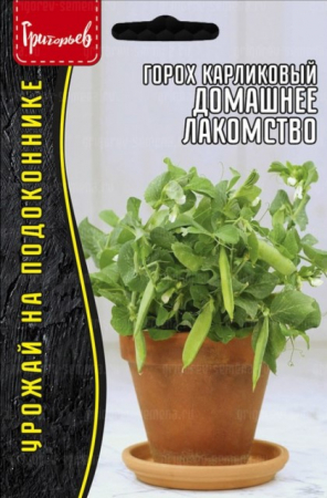 Горох Домашнее Лакомство карликовый (Григорьев) - Сезон у Дачи