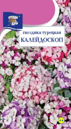 Гвоздика Калейдоскоп турецкая (УУ) - Сезон у Дачи