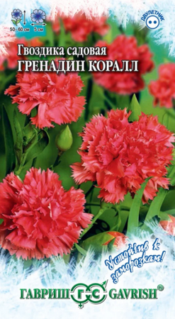 Гвоздика Коралл Гренадин садовая /Устойчив к заморозкам! (Гавриш) - Сезон у Дачи
