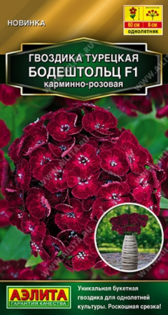 Гвоздика турецкая Бодештольц F1 Карминно-розовая (Аэлита) - Сезон у Дачи