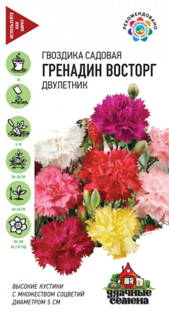 Гвоздика Восторг Гренадин садовая /УС (Гавриш) - Сезон у Дачи