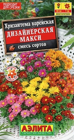 Хризантема Дизайнерская макси смесь (Аэлита) - Сезон у Дачи
