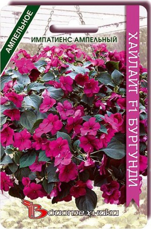 Импатиенс ампельный Хайлайт F1 Бургунди (Биотехника) - Сезон у Дачи