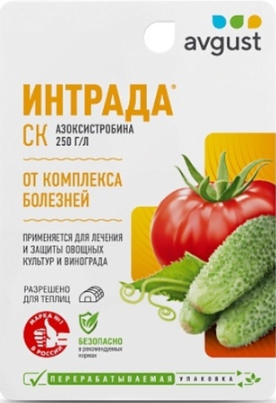 Интрада 10мл АВГУСТ - Сезон у Дачи