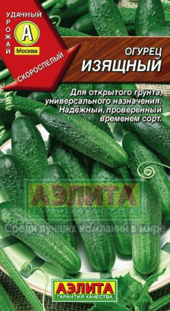 Огурец Изящный /лидер (Аэлита) - Сезон у Дачи