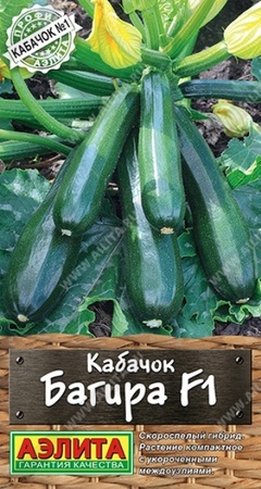 Кабачок Багира F1 цуккини (Аэлита) - Сезон у Дачи