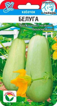 Кабачок Белуга белоплодный (Сиб Сад) - Сезон у Дачи