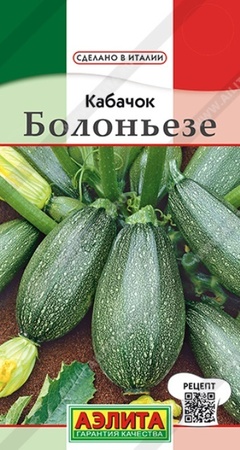 Кабачок Болоньезе цукини 1гр (Аэлита) - Сезон у Дачи