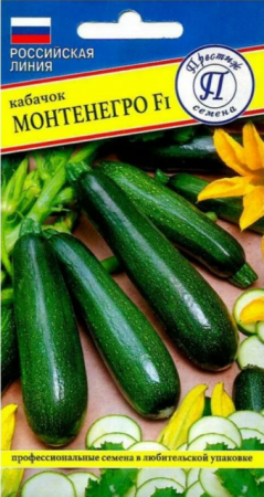 Кабачок Монтенегро F1 (Престиж) - Сезон у Дачи