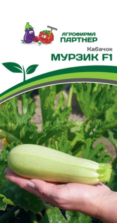 Кабачок Мурзик F1 (Партнер) - Сезон у Дачи