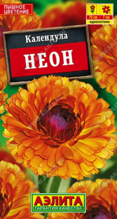 Календула Неон (Аэлита) - Сезон у Дачи