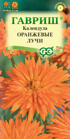 Календула Оранжевые лучи (Гавриш) - Сезон у Дачи