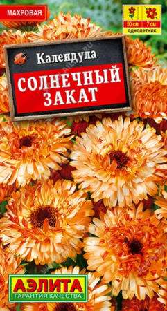 Календула Солнечный закат (Аэлита) - Сезон у Дачи