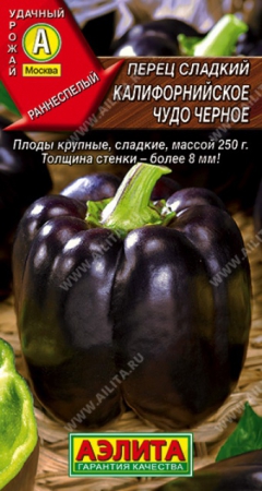 Перец сладкий Калифорнийское чудо черное (Аэлита) - Сезон у Дачи