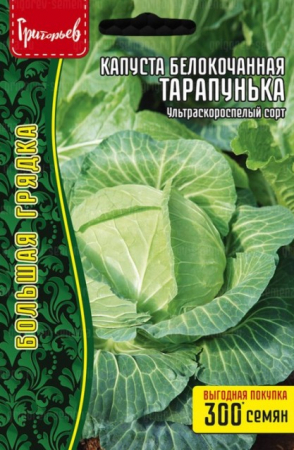 Капуста б/к Тарапунька ультраранняя (Григорьев) - Сезон у Дачи