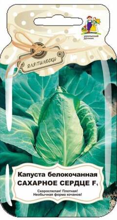 Капуста б/к Сахарное сердце F1 (УД) - Сезон у Дачи