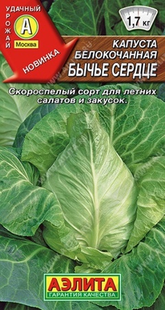 Капуста б/к Бычье сердце (Аэлита) - Сезон у Дачи