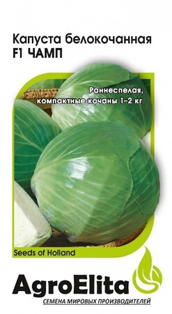 Капуста б/к Чамп F1 /Семинис (Агроэлита) - Сезон у Дачи