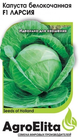 Капуста б/к Ларсия F1/Семинис (Агроэлита) - Сезон у Дачи