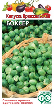 Капуста брюссельская Боксер (Гавриш) - Сезон у Дачи