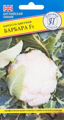 Капуста цветная Барбара F1 - Сезон у Дачи