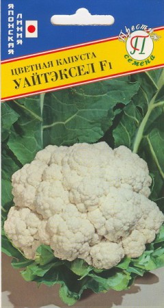 Капуста цветная Уайтэксел F1 - Сезон у Дачи