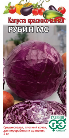 Капуста к/к Рубин (Гавриш) - Сезон у Дачи