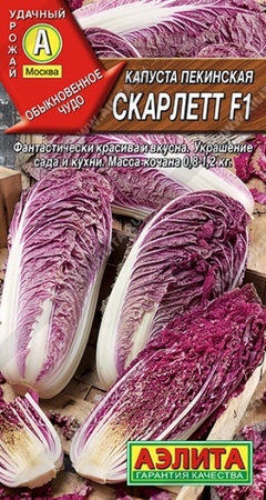 Капуста пекинская Скарлетт F1 (Аэлита) - Сезон у Дачи