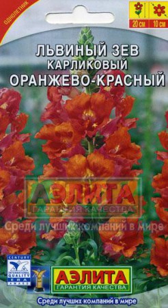 Львиный зев карликовый оранж.-красн. - Сезон у Дачи