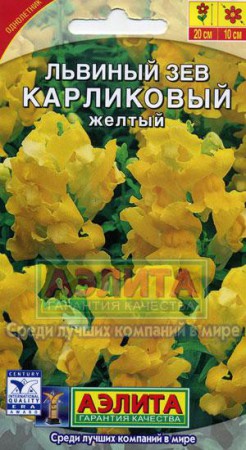 Львиный зев карликовый желтый - Сезон у Дачи