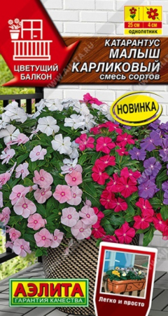 Катарантус Малыш карликовый смесь (Аэлита) - Сезон у Дачи