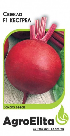 Свекла Кестрел F1 - Сезон у Дачи