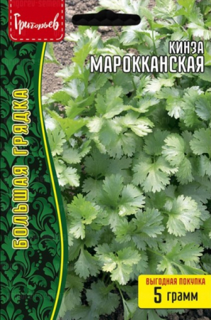 Кинза Марокканская (Кориандр) (Григорьев) - Сезон у Дачи