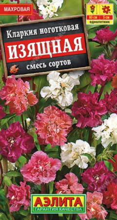 Кларкия изящная смесь окрасок (Аэлита) - Сезон у Дачи