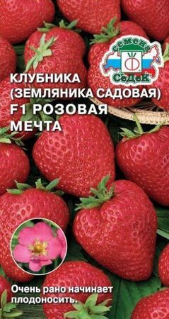 Клубника Розовая мечта F1 (земляника садовая) (СеДеК) - Сезон у Дачи