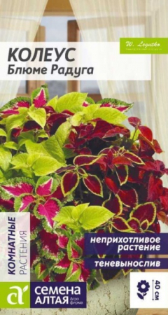 Колеус Блюме Радуга смесь (Сем Алт) - Сезон у Дачи