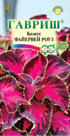 Колеус Файервей Роуз - Сезон у Дачи