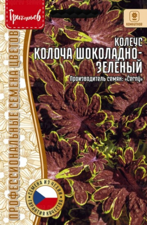 Колеус Колоча Шоколадно-Зелёный (Colocha Chocolate Green) (Григорьев) - Сезон у Дачи