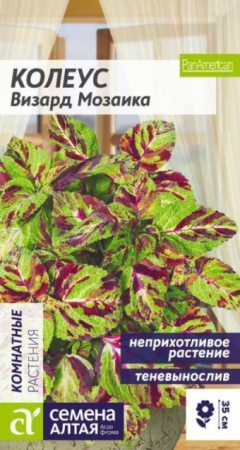 Колеус Визард Мозаика (Сем Алт) - Сезон у Дачи