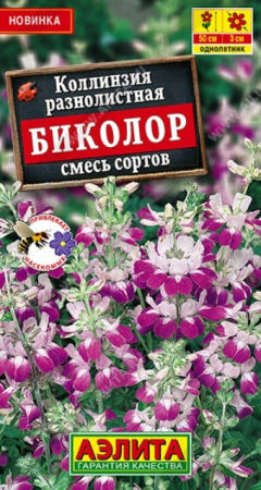 Коллинзия Биколор смесь (Аэлита) - Сезон у Дачи